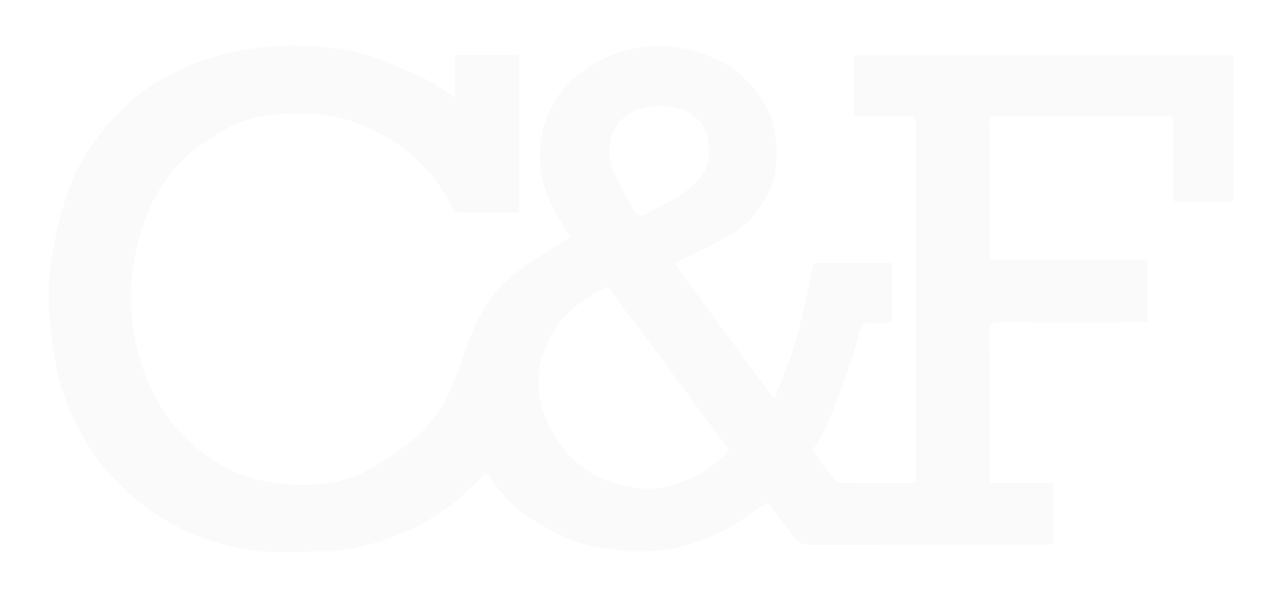 C&F S.R.L.